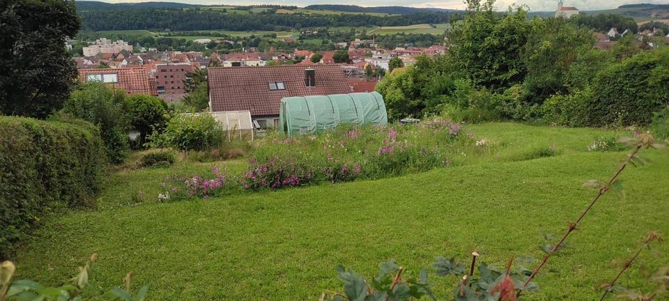 Traumhafter Bauplatz mit unverbaubarem Schlossblick – Bild 11