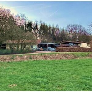 Repräsentatives Gestüt mit Wohnhaus im Nordsaarland