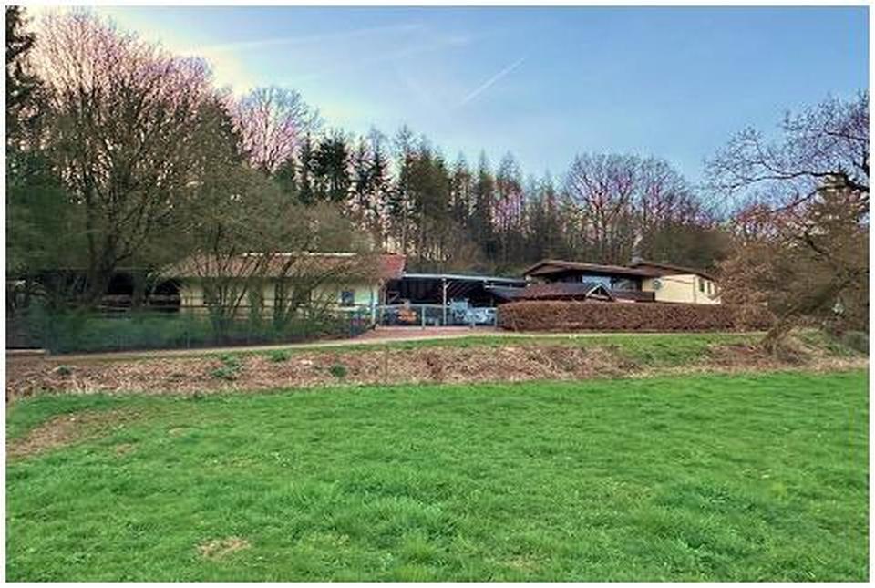 Repräsentatives Gestüt mit Wohnhaus im Nordsaarland