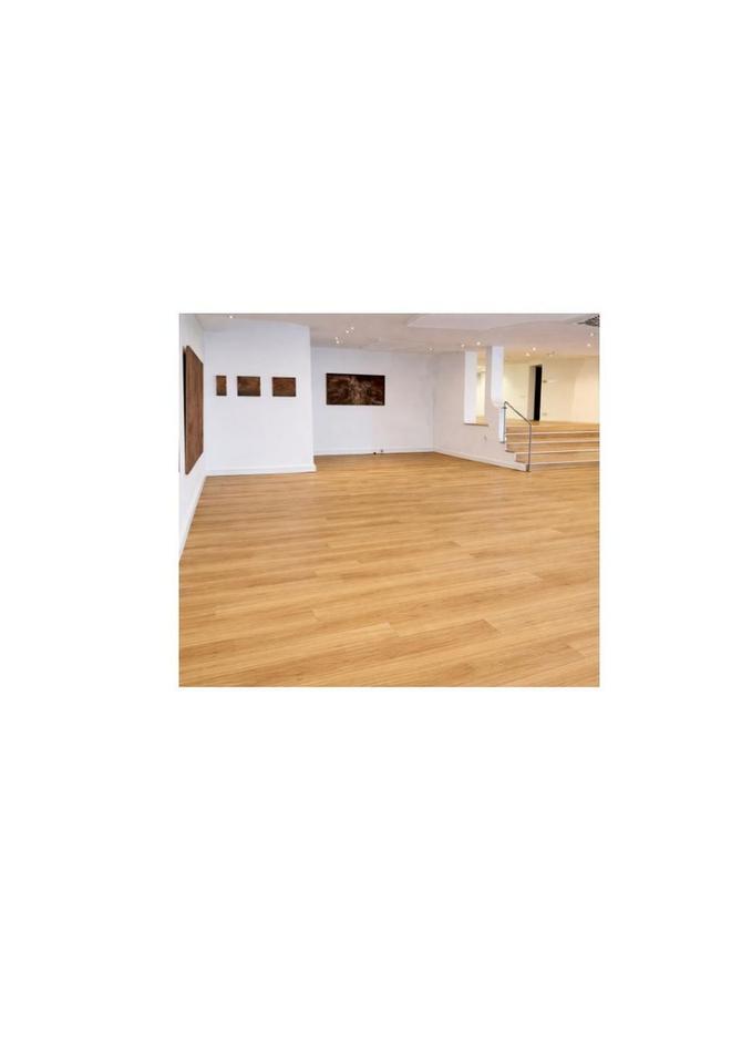 Verkaufsfläche für viele Möglichkeiten! Großzügige Präsentationsfläche! – Bild 2