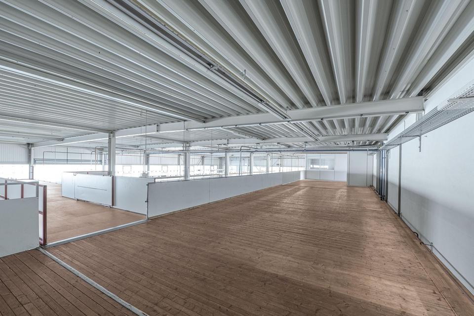 Moderne Industriehalle zur Miete – ideal für Produktion & Gewerbe – Bild 5