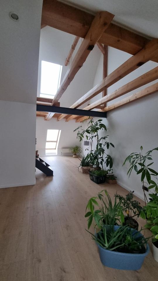 28.03 Besichtigung - Helle Maisonettewohnung mit Dachterrasse in der Innenstadt – Bild 6