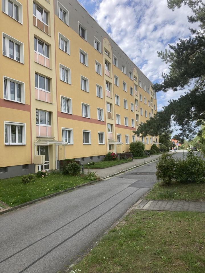 3-Zimmer-Wohnung mit Schlossblick am Waldrand im Coswiger-Spitzgrund mit Stellplatz – Bild 2