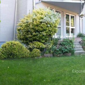 Endlich Garten & Hausgefühl! 4 Zimmer, Bezugsfrei, Garage & provisionsfrei