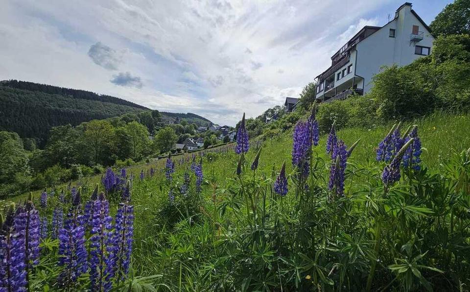 Apartment in einem ruhigen Dorf bei Winterberg – Bild 3
