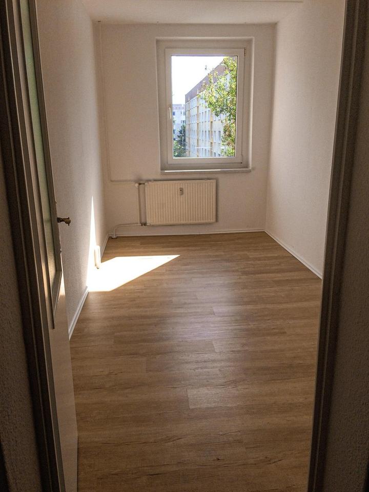 3-Zimmer-Wohnung mit Schlossblick am Waldrand im Coswiger-Spitzgrund mit Stellplatz – Bild 8