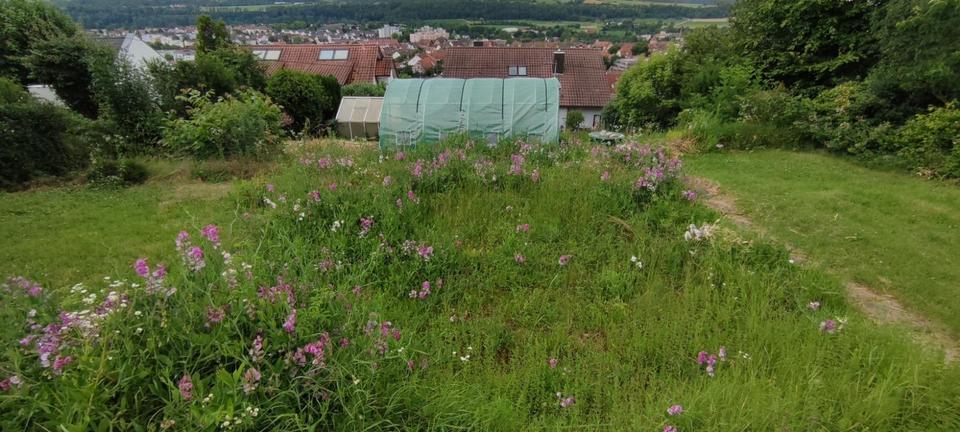Traumhafter Bauplatz mit unverbaubarem Schlossblick – Bild 15