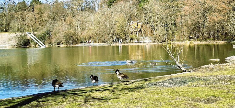 3-Zi.-Wohnung (80qm) Westend, U5 / Tram 18 Säulingstraße, nähe WESTPARK – Bild 20