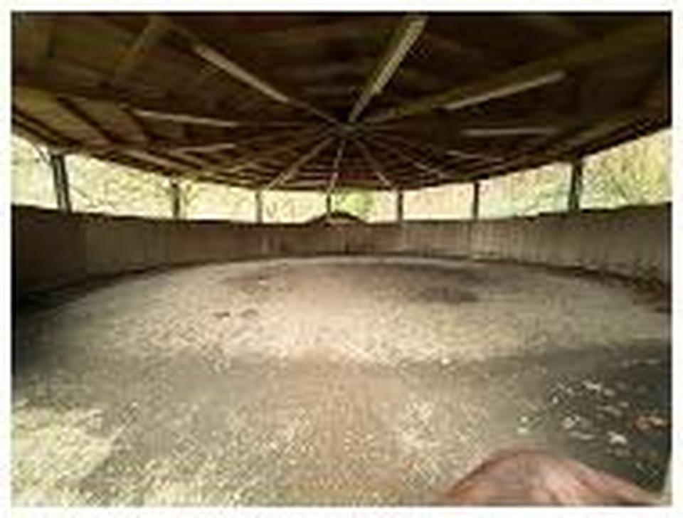 Repräsentatives Gestüt mit Wohnhaus im Nordsaarland – Bild 5