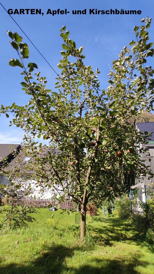 "PROVISIONSFREI" Reihenendhaus 157m², 470m² Südgarten, Photovoltaik & Garage – Bild 38