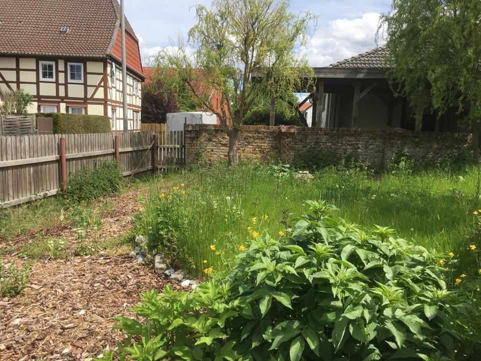 Großzügige Maisonette-Wohnung mit eigenem Garten in ruhiger Lage von Algermissen-Bledeln – Bild 13