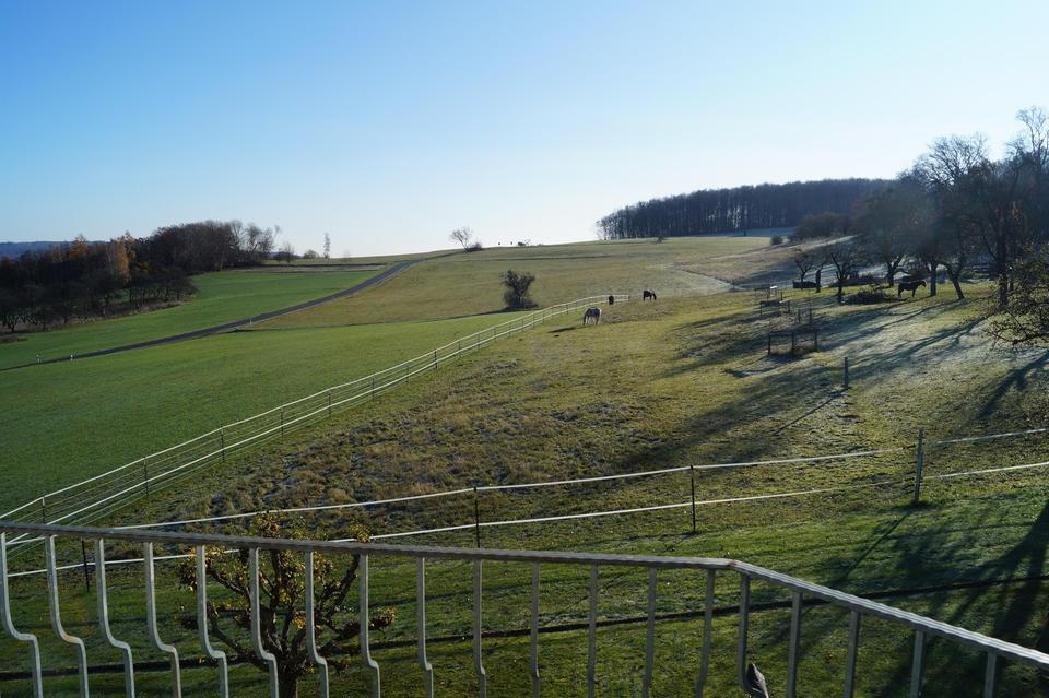 Neuwertige Immobilie im Toppzustand mit herrlicher Fernsicht – Bild 15