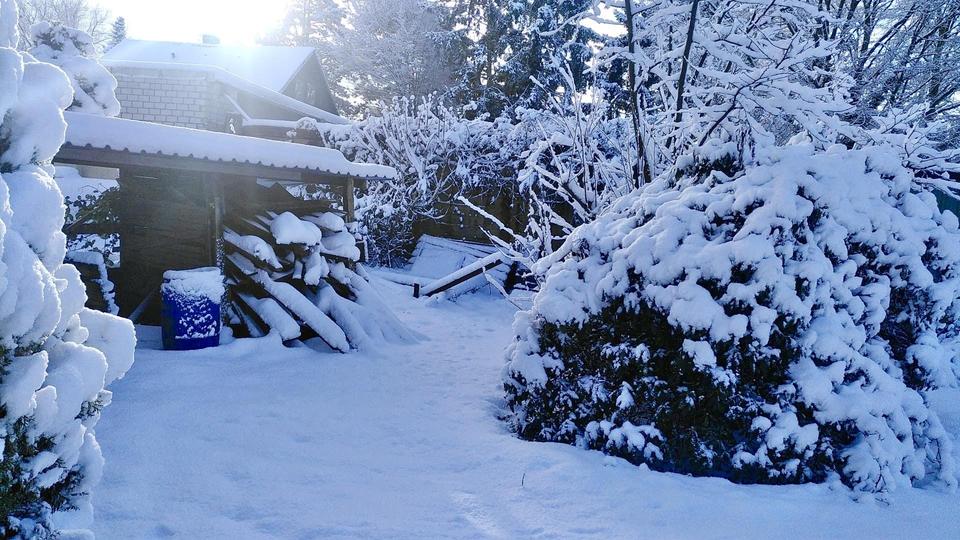 Charmantes Einfamilienhaus, 2 Wohneinheiten mit großem Garten in ruhiger Wohnlage – Bild 31