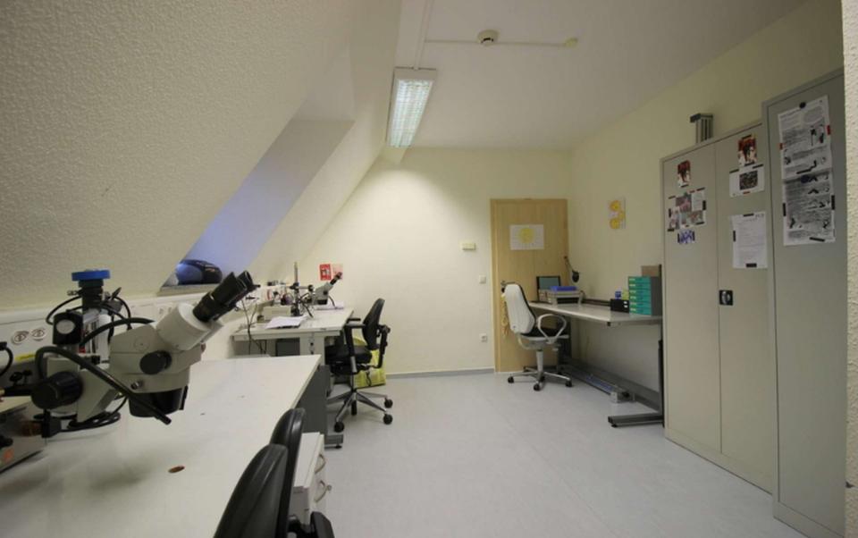 Bürohaus + Praxisräume + Wohnung+ Baugrundstück – Bild 10