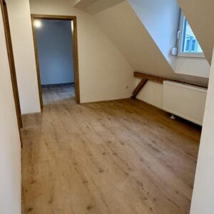 Erstbezug - Renovierte 5-Zimmer Wohnung am Rechenberg direkt im Grünen