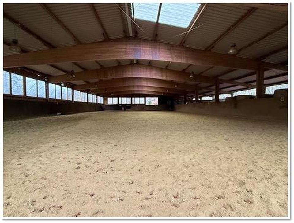 Repräsentatives Gestüt mit Wohnhaus im Nordsaarland – Bild 4