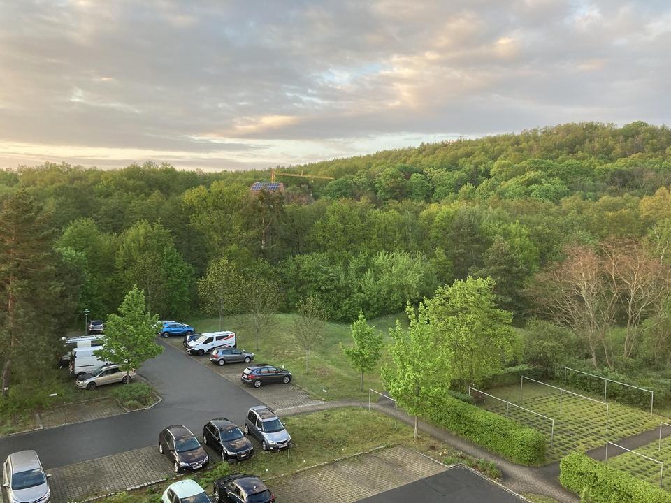 3-Zimmer-Wohnung mit Schlossblick am Waldrand im Coswiger-Spitzgrund mit Stellplatz – Bild 12