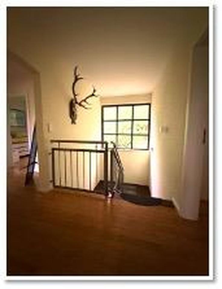 Repräsentatives Gestüt mit Wohnhaus im Nordsaarland – Bild 10