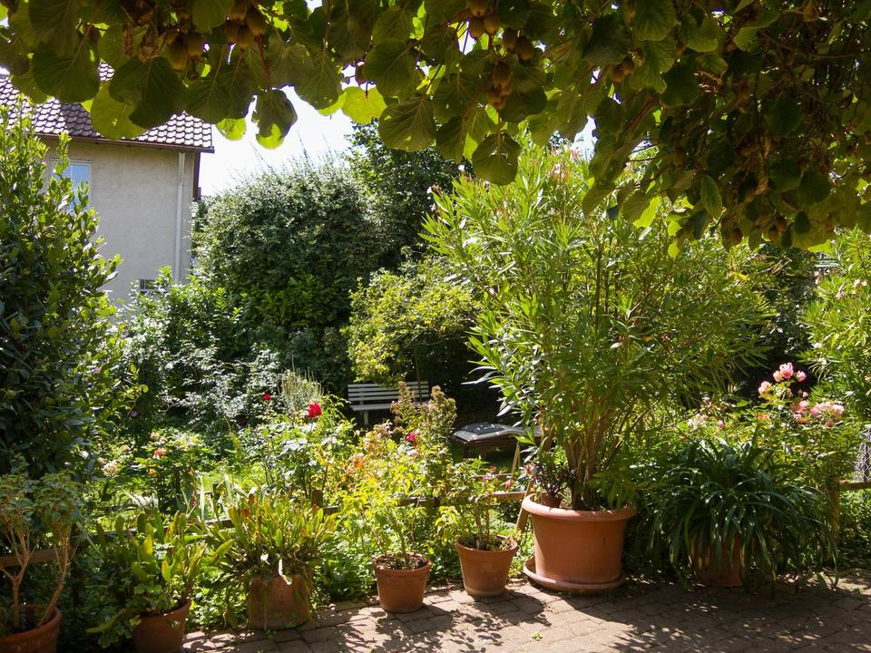 Provisionsfrei - Rarität - 2 Häuser, große Scheune und großer Garten in Freiburg-Munzingen. – Bild 33