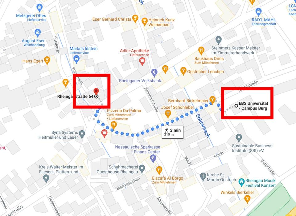 Studenthousing - Warm & Serviced Apartments fußläufig zur EBS *all inclusive* – Bild 11