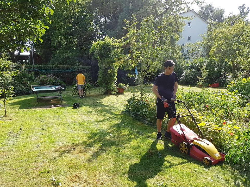 Dreifamilien-Stadthaus in ruhiger und grüner Lage von Hamburg–Heimfeld – Bild 8