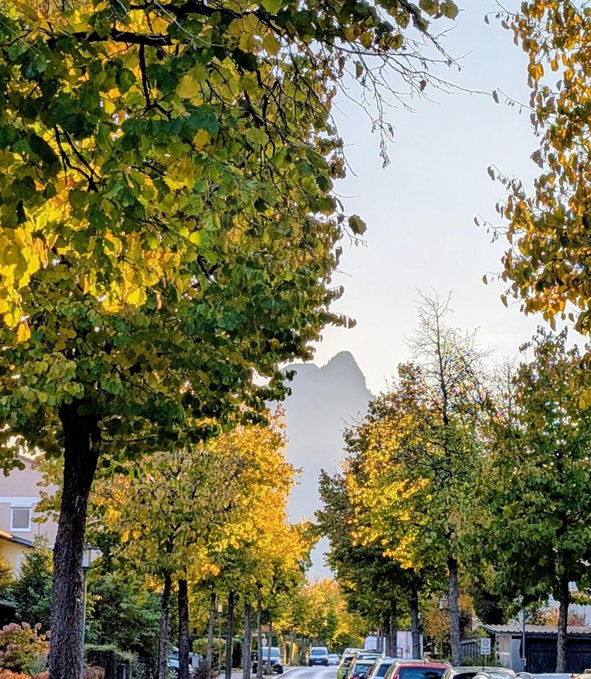 2-Zimmer-Wohnung mit Bergblick – Bild 6