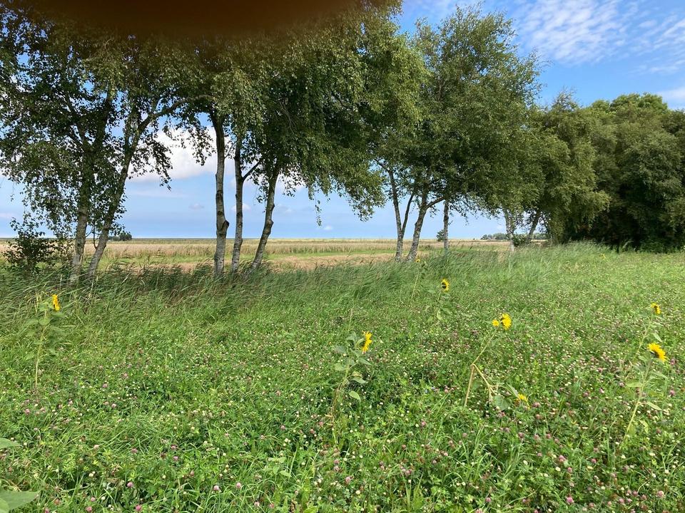 Baugrundstücke in ruhiger Nordseelage Dornumergrode – Bild 5