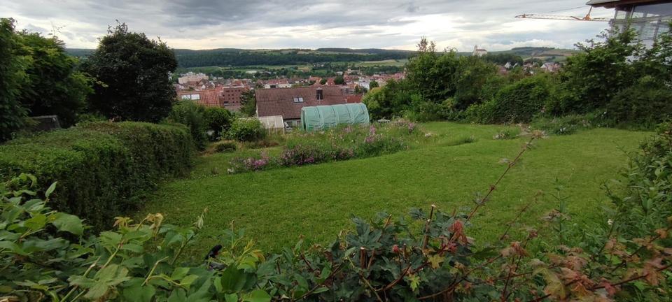 Traumhafter Bauplatz mit unverbaubarem Schlossblick – Bild 10
