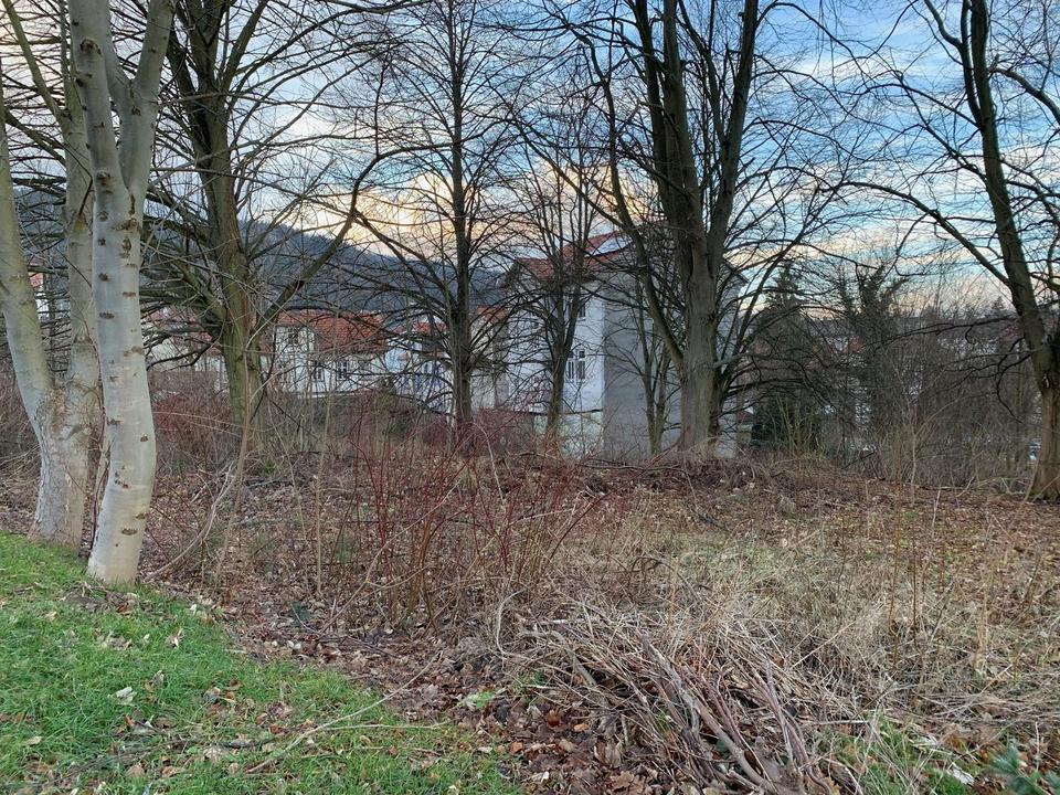 Wunderschönes Baugrundstück in Friedrichroda – Bild 5