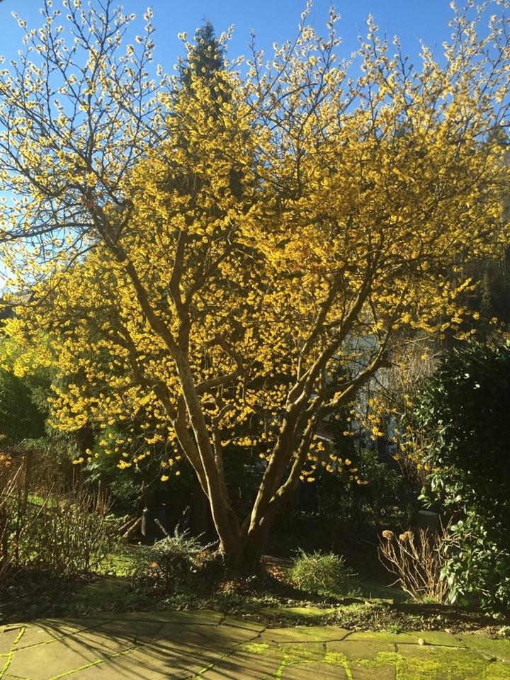 Besonderes 2-Fam.-Haus in begehrter Lage, natur- und stadtnah, provisionsfrei – Bild 15