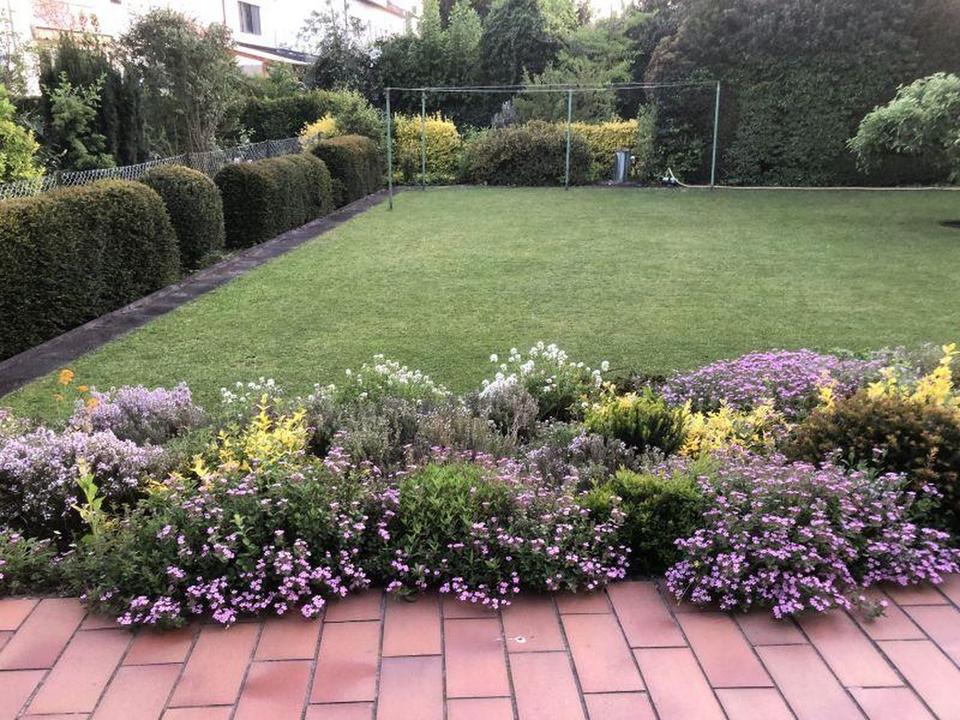 Zweifamilienhaus – Bild 4