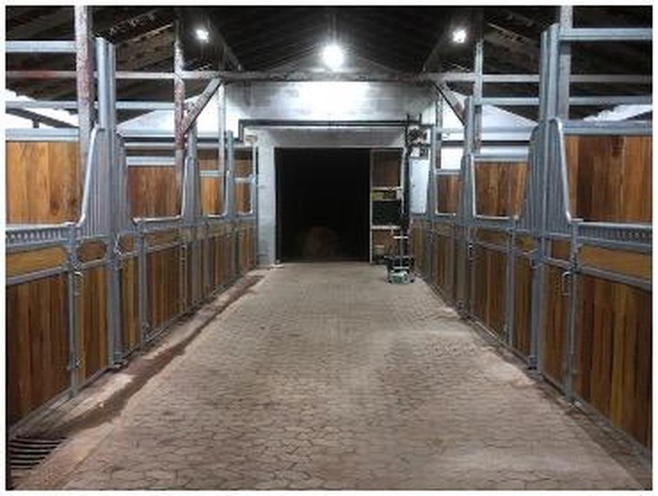 Repräsentatives Gestüt mit Wohnhaus im Nordsaarland – Bild 2