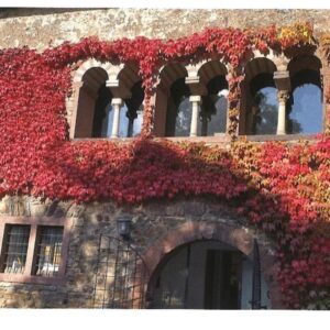 Das Graue Haus - Rheingau - Oestrich-Winkel - Restaurant oder Wohnhaus