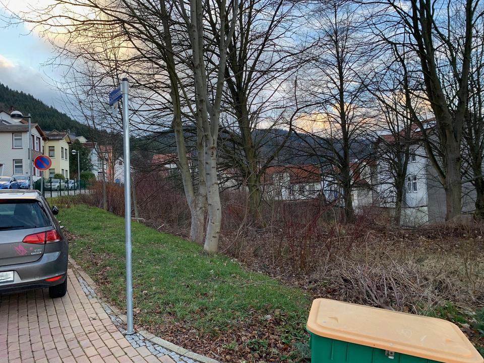 Wunderschönes Baugrundstück in Friedrichroda – Bild 4