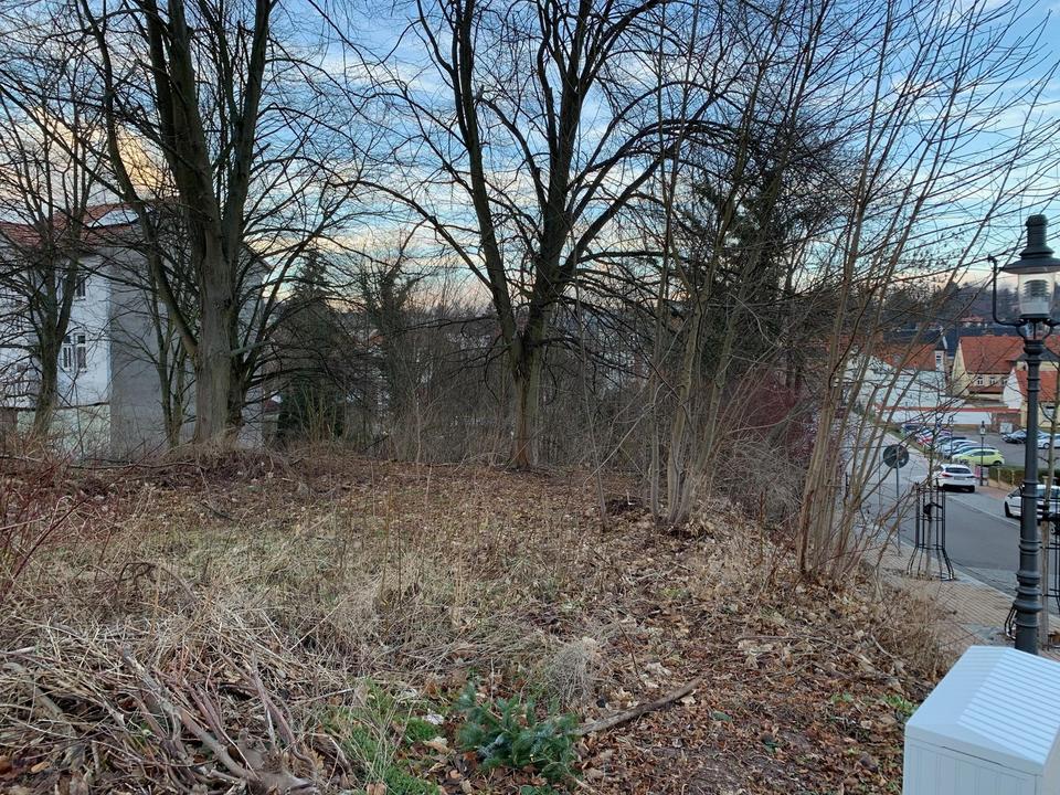 Wunderschönes Baugrundstück in Friedrichroda – Bild 6