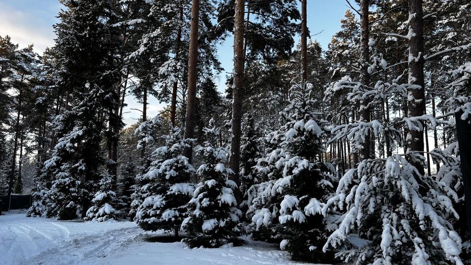 Doppelter Luxus mit zukunftsicherheit in Borkwalde auf 2.818 m² – Bild 3