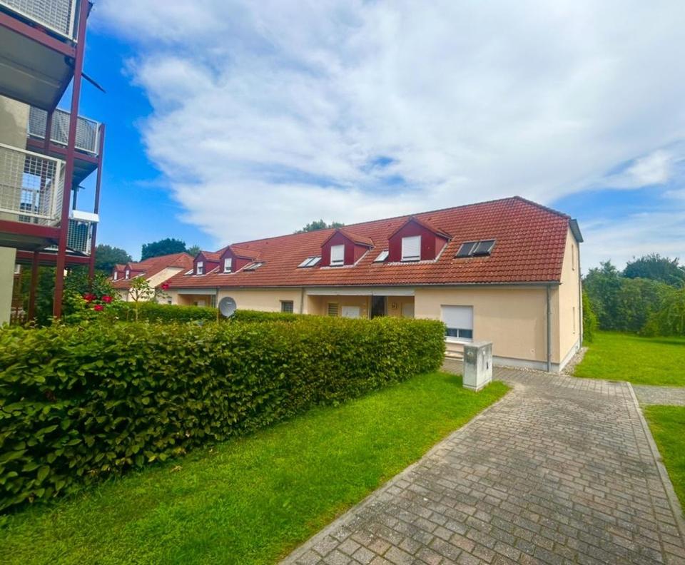 Lichtdurchfluteter 2Zi-Wohntraum Nähe Eberswalde/Berlin mit Garten-Option – Dein neues Zuhause! – Bild 3