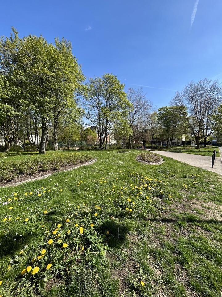 Vermietete 2 Zimmer Wohnung am oberen Kaßberg/Grenze Altendorf – Bild 12