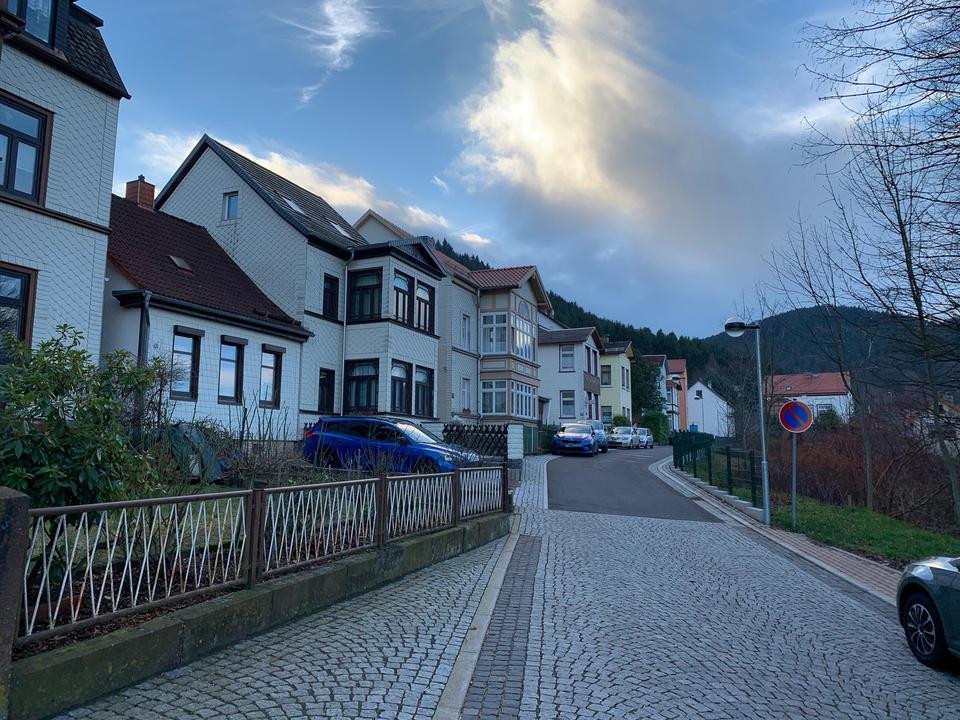 Wunderschönes Baugrundstück in Friedrichroda – Bild 3