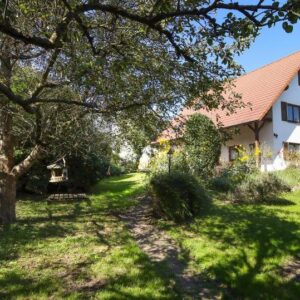 Provisionsfrei - Rarität - 2 Häuser, große Scheune und großer Garten in Freiburg-Munzingen.