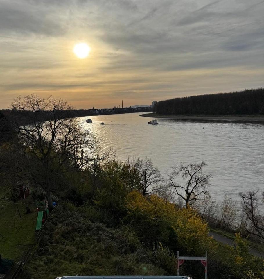 Penthouse, 2-Zimmer-Wohnung, direkte Rheinlage, Neubau, Dachterrasse, provisionsfrei – Bild 5