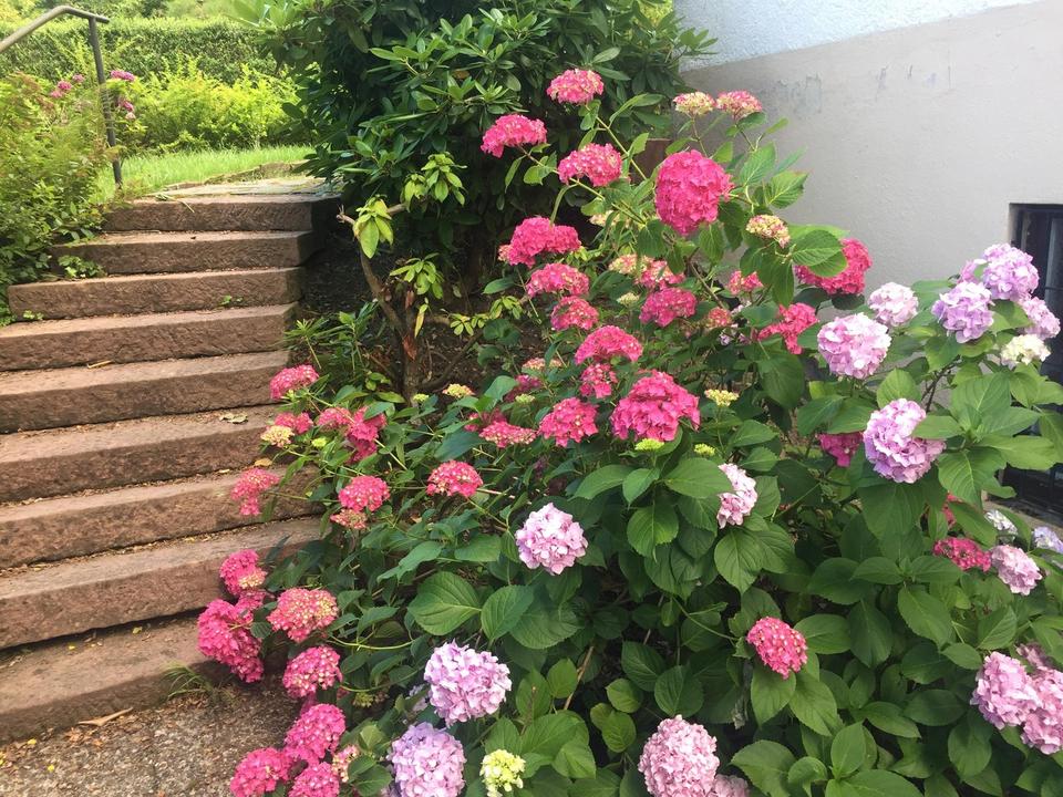 Besonderes 2-Fam.-Haus in begehrter Lage, natur- und stadtnah, provisionsfrei – Bild 14