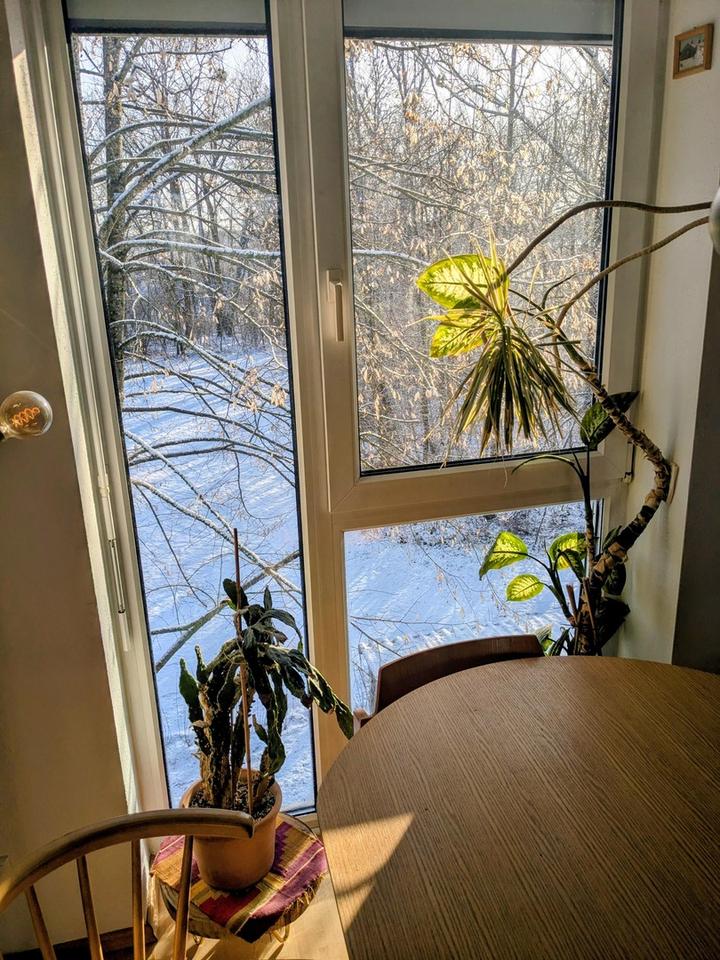 Provisionsfrei! Hochwertige Vierzimmerwohnung mit schönem Südwest-Balkon – Bild 23