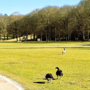 3-Zi.-Wohnung (80qm) Westend, U5 / Tram 18 Säulingstraße, nähe WESTPARK