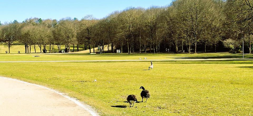 3-Zi.-Wohnung (80qm) Westend, U5 / Tram 18 Säulingstraße, nähe WESTPARK