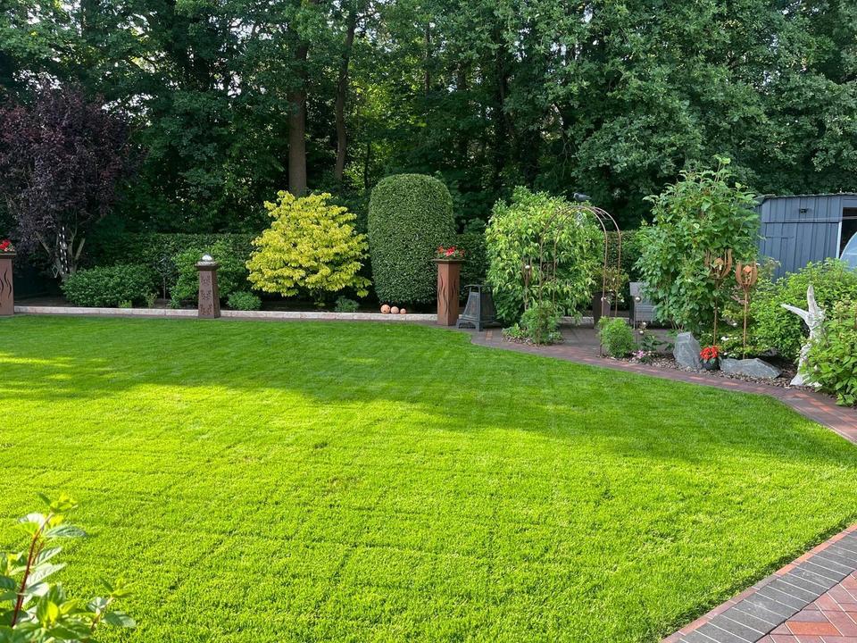 *Provisionsfrei für den Käufer* Wohnen am Waldrand in ruhiger Lage von Löningen – Bild 24