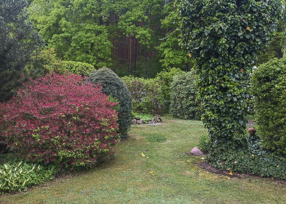 Bungalow / Wochenendhaus nahe Niesky/See – Sachsen – Bild 3