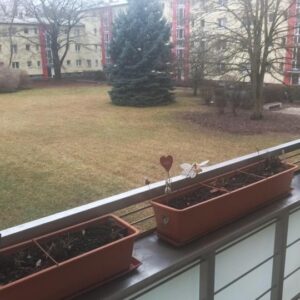 Preissenkung: Schöne helle 2 Zimmer Eigentumswohnung mit Balkon in Britz provisionsfrei