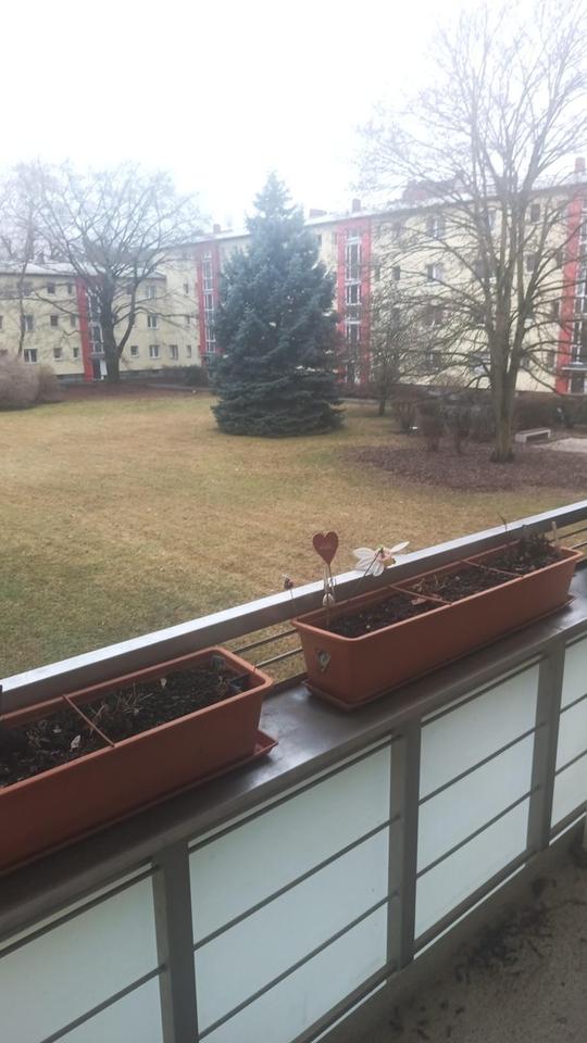 Preissenkung: Schöne helle 2 Zimmer Eigentumswohnung mit Balkon in Britz provisionsfrei