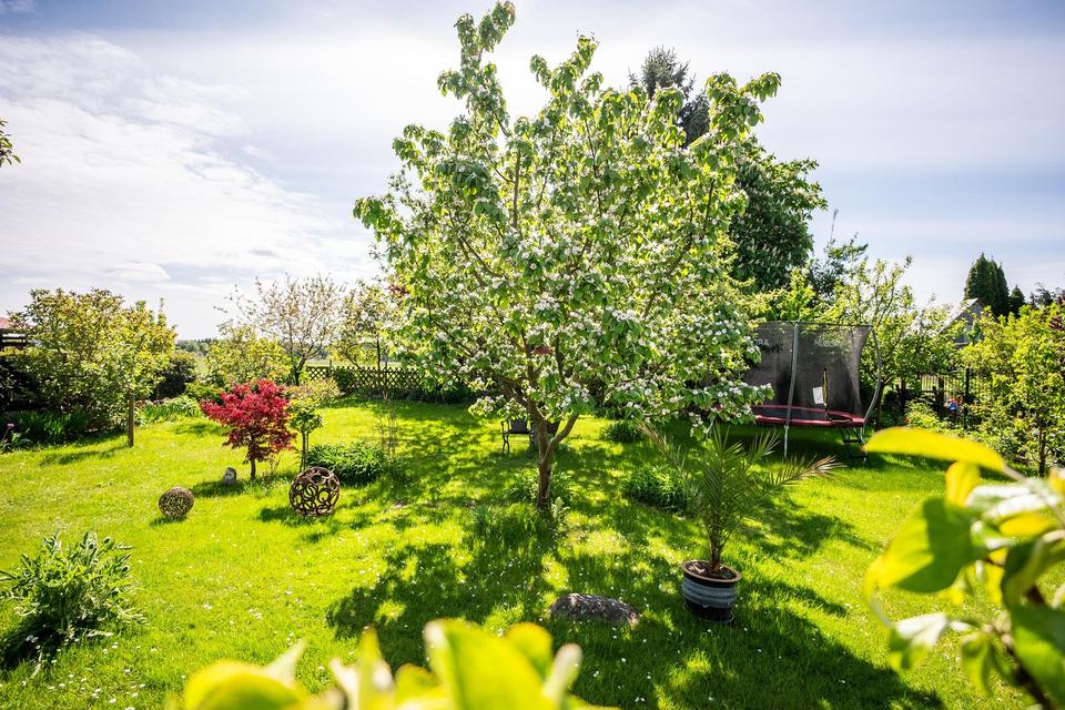 Top ausgestattetes Einfamilienhaus m. großem Garten & Bungalow in ruhiger Lage im Seebad Ueckermünde – Bild 21